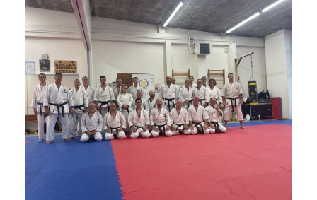 stage pizançon avec ARIMOTO 4fois champion du monde kata